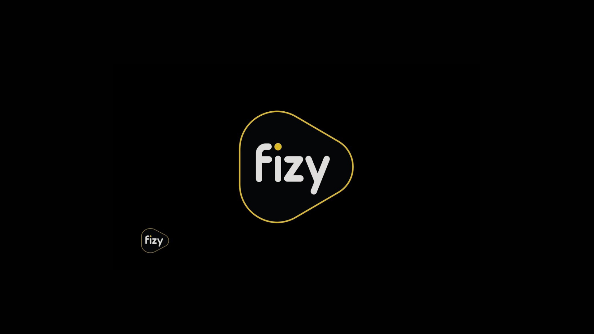 Fizy Müzik Dağıtım